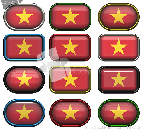 Image of twelve buttons of the Flag of Vietnam
