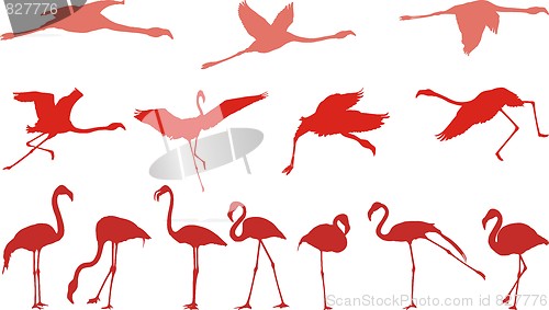 Image of Pink flamingo, a set of vectors
