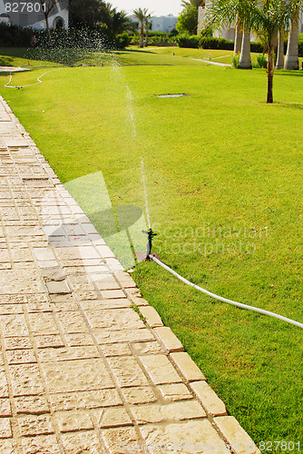Image of water sprinkler