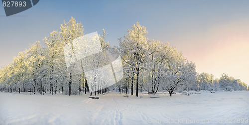 Image of Winter park panorama