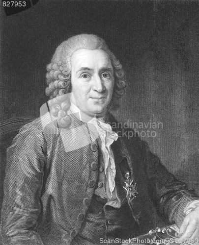 Image of Carl Linnaeus