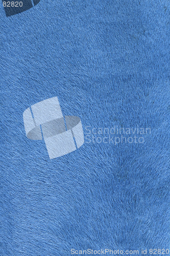 Image of light blue fur