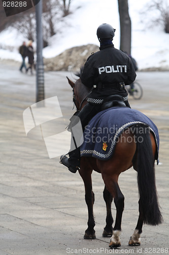 Image of Riding police