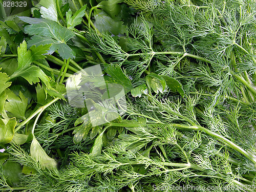 Image of Greens, fennel, parsley