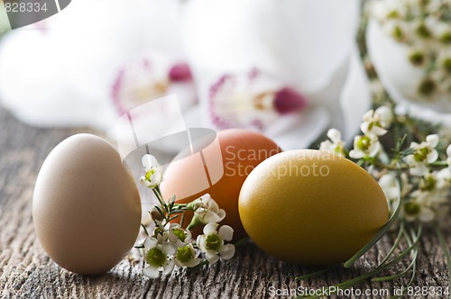 Image of Eggs