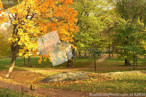 Image of Autumn Park