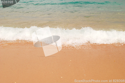 Image of sea shore
