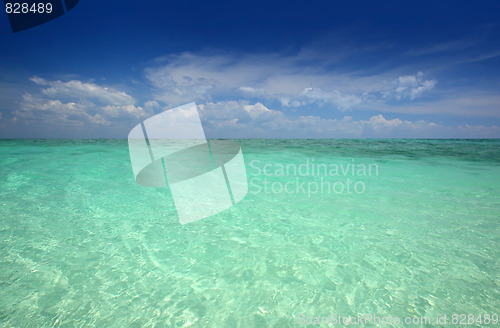 Image of tropical beach