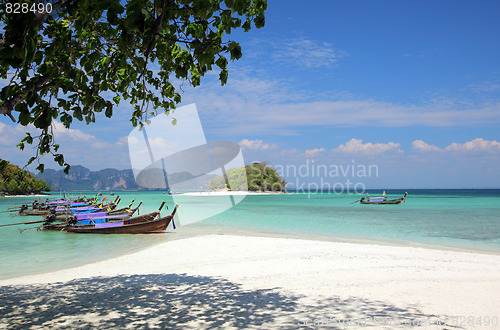 Image of  Long tail boat in Thailand