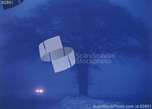 Image of Dusk