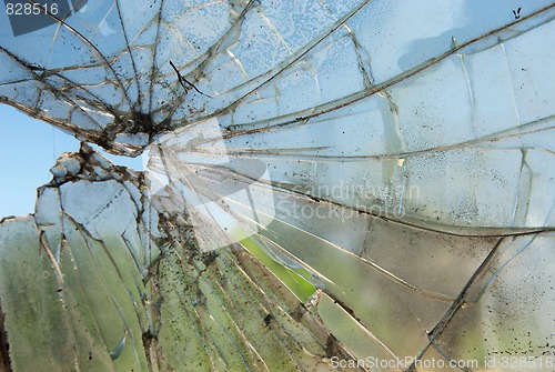 Image of Smashed Glass
