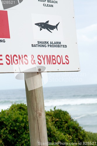 Image of shark sign