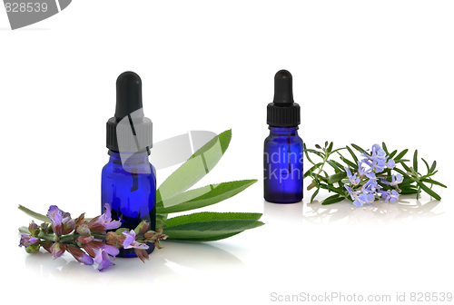 Image of Rosemary and Comfrey Herb Therapy