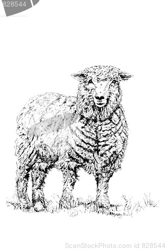 Image of The Sheep