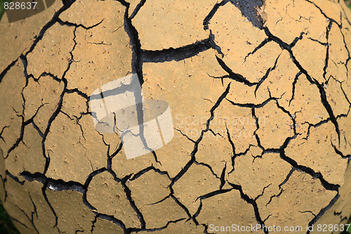Image of dry background