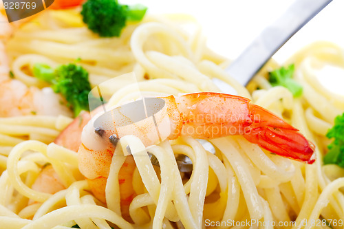 Image of Shrimp Linguini Macro