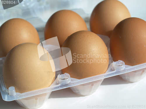 Image of Eggs