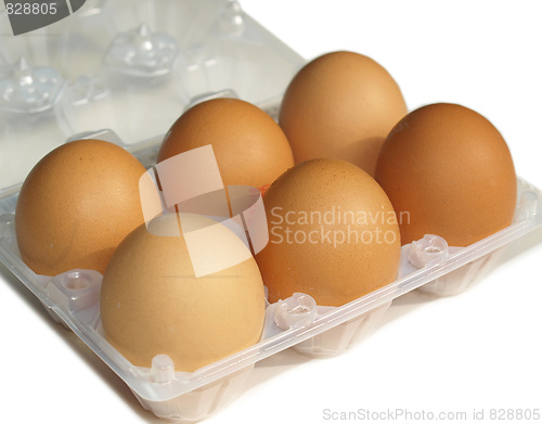 Image of Eggs