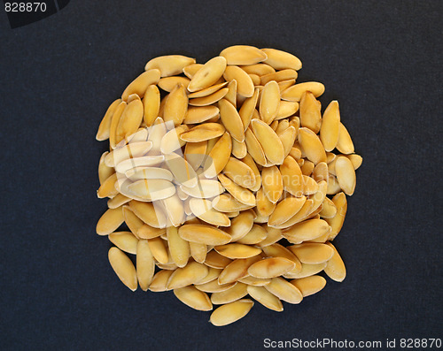Image of Melon seeds