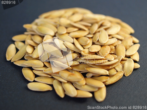 Image of Melon seeds