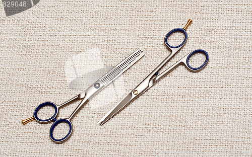 Image of Scissors and thinning shears