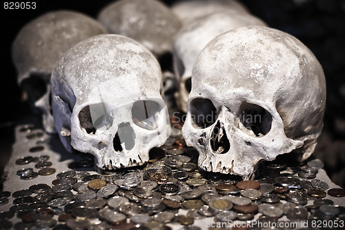 Image of Skulls and coins