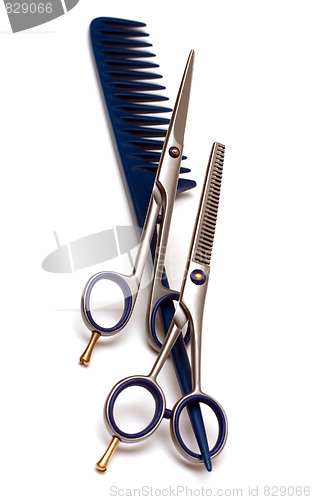 Image of Handle rake and scissors
