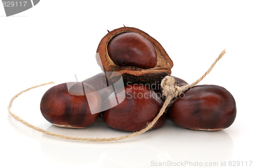 Image of Conkers