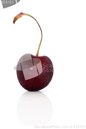 Image of Cherry  