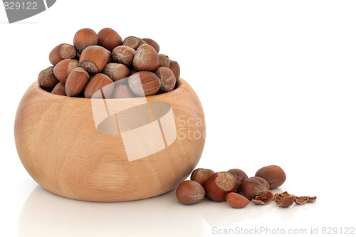 Image of Hazelnuts