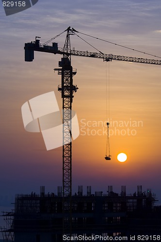 Image of Crane at Sunrise