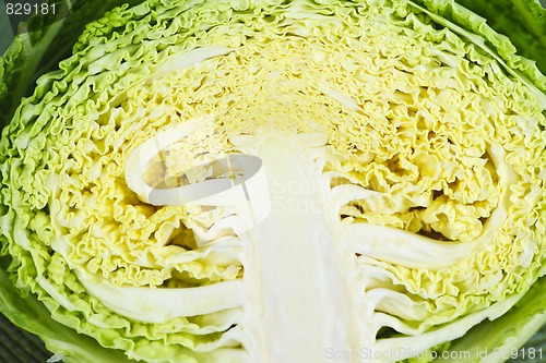 Image of Closeup of half sliced cabbage head