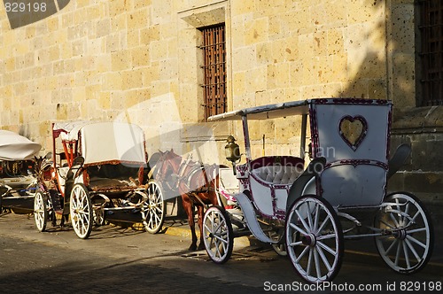 Image of Horse drawn carriages in Guadalajara, Jalisco, Mexico