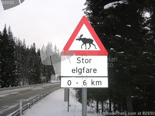 Image of Moose danger sign