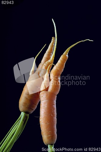 Image of carrot