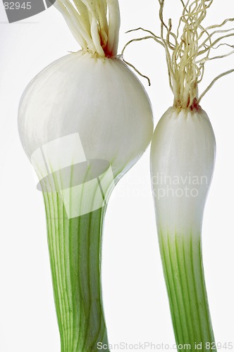 Image of onions