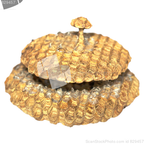 Image of Honeycomb