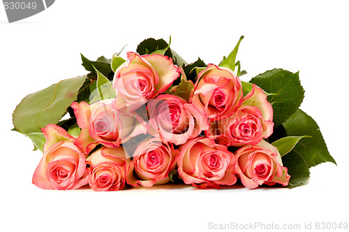 Image of Bouquet of roses