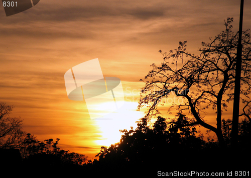 Image of Red Sunset