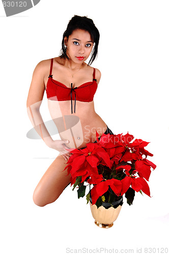 Image of Pretty woman with red flowers.