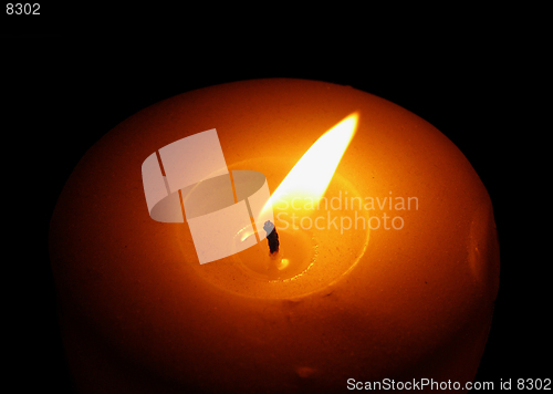 Image of Candle In The Wind