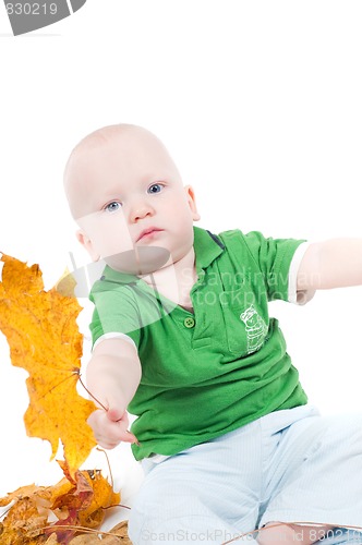 Image of Little boy in studio