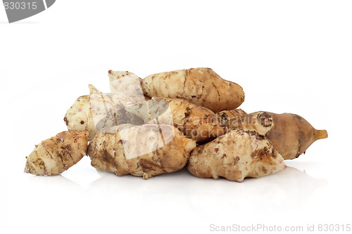 Image of Jerusalem Artichoke 