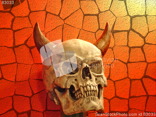 Image of Skull