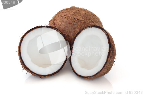 Image of Coconut