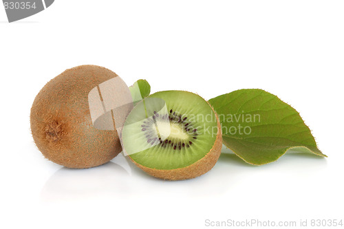 Image of Kiwi Fruit