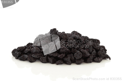 Image of Dried Blueberry Fruit