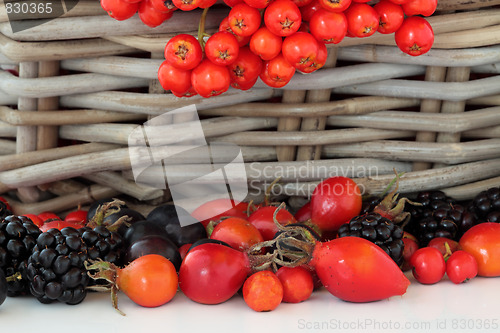 Image of Wild Autumn Fruit