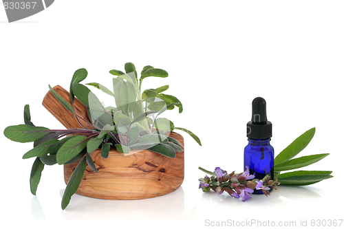 Image of Sage Herb and Essential Oil