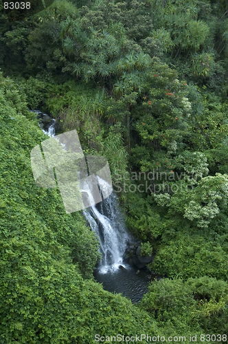 Image of Hawaiian waterfall